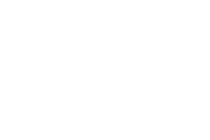 WF PERFORMANCE